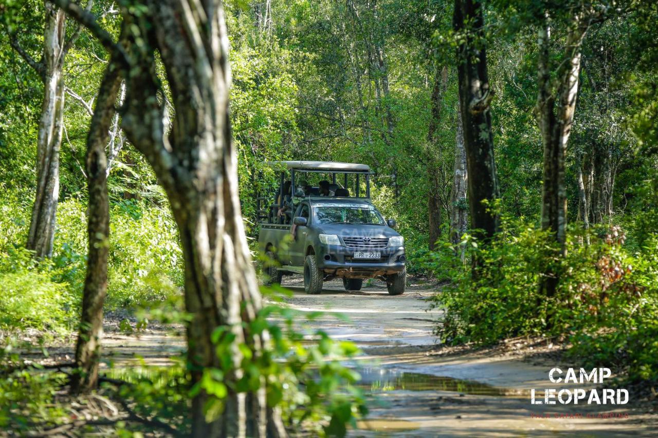 Отель Camp Leopard - Yala Safari Glamping Экстерьер фото
