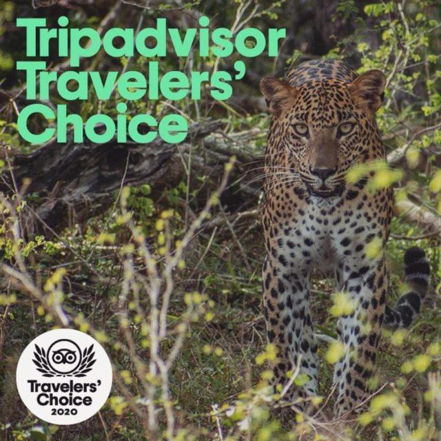 Отель Camp Leopard - Yala Safari Glamping Экстерьер фото