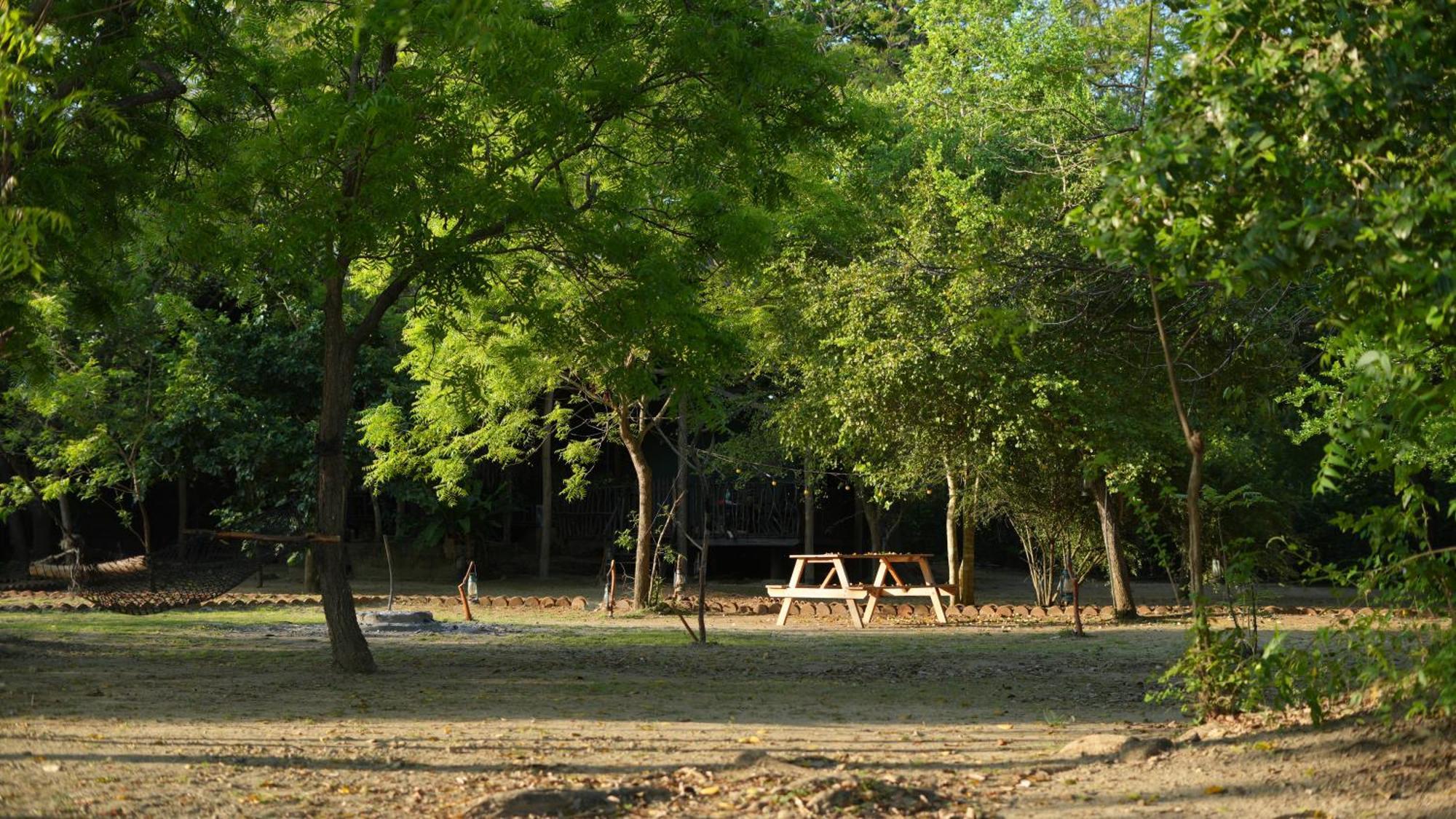 Отель Camp Leopard - Yala Safari Glamping Экстерьер фото